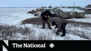 The Arctic community falling into the ocean | Tuktoyaktuk, N.W.T.