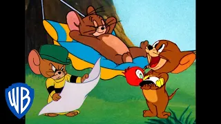 Tom y Jerry en Latino | Todo acerca de Jerry | WB Kids