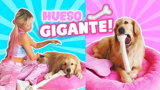 24 HORAS CONSINTIENDO A MI PERRITA!! 🐶💕👑  | Katie Angel