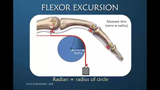 Nuances of Flexor Tendon Rehab: Part 2 of 12: Core Concepts & Excursion