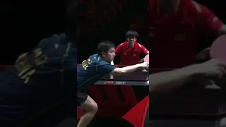 Pha bóng giật trái hay của Wang Chuqin trước Fan Zhen Dong #shortvideo #pingpong #tabletennis #china