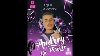 Andrey do Piseiro - Hoje vai ser o gera (music oficial). Cd Novo 🔥🙏#piseiro #foryou #chama