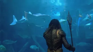 Aquaman - "I Talk to Fish"