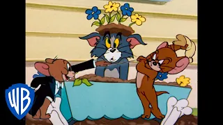 Tom et Jerry en Français | La revanche de la souris | WB Kids