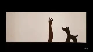 Hand Shadow Theater | animals hand shadows | Šešėlių teatras