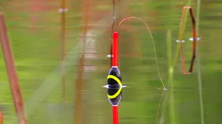 Такої риболовлі,🐟🐟 Я НЕ ОЧИКУВАВ.  Ловля карася на поплавок. Рибалка в Україна.