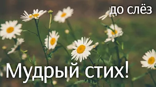 С Добрым Утром | мудрый стих притча о жизни! Стих до мурашек!