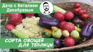 ЛУЧШИЕ СОРТА ОВОЩЕЙ ДЛЯ ТЕПЛИЦЫ!