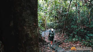 DANUM VALLEY CONSERVATION AREA