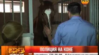 Полиция на коне
