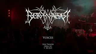 Borknagar / Voices - live