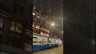 Holiday Season in Zurich | Switzerland