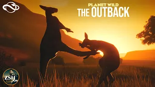 Creating The Outback in Planet Zoo | Planet Wild