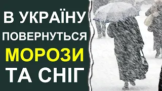 Стала відома дата різкого весняного похолодання | Погода в Україні у березні 2024