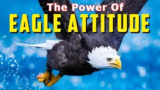 The Eagle Mindset (EAGLE ATTITUDE) Powerful Motivational Video