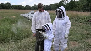 Kids Beekeeping | FIND THE QUEEN!