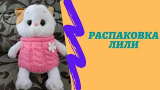 Распаковка кошечки 😸 Лили / Darina Like