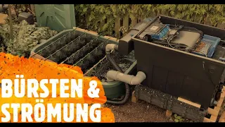 Teich Update Nr. 18 (BÜRSTENZUSTAND / STRÖMUNG) mit OASE BioTecScreenMatic² 60.000+16.000l+55WUVC