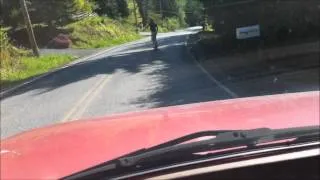 Longboard Crash In Bellingham