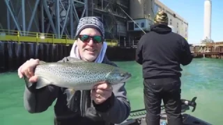 Giant Brown Trout on standup bass tackle