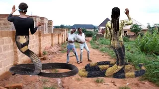 Kingdom Of Pythons 😳 (Full HD) | Mark Angel Comedy | Mr Macaroni | Yawa Skits | FunnyBros