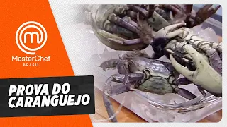 Prova de caranguejo! | Cortes | MasterChef Brasil