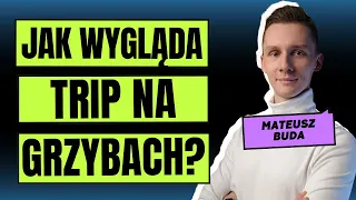 JAK WYGLĄDA TRIP NA GRZYBACH? MIKRODAWKOWANIE. MATEUSZ BUDA TERAPIANOWOCZESNA.PL