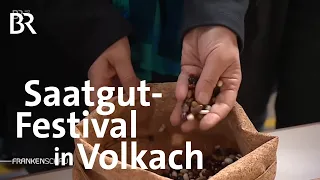 Saatgut-Festival in Volkach | Frankenschau | BR