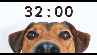 32 Minute Timer for School and Homework - Dog Bark Alarm Sound