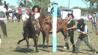 Jineteada en Grupa en Estancia San Juan Abril 2023 Feliciano (Entre Rios)