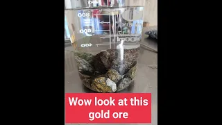 Video detail about gold ore