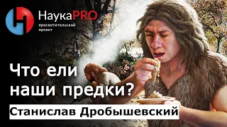 Что ели наши предки? – антрополог Станислав Дробышевский | Научпоп