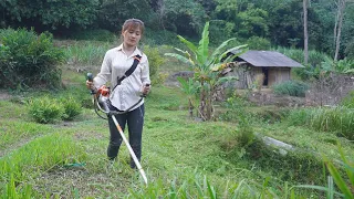 Building Farm: Back to my farm, weeding and cleaning around the farm - My Bushcraft / Nhất