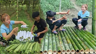 Building a new water bridge - Linh and Dần Harvesting luffa to sell at the market