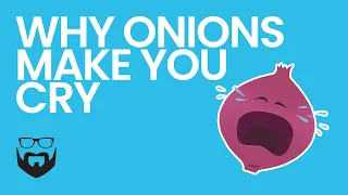 Why Onions Make You Cry