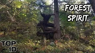 Top 10 Scary Creatures Seen In Forests