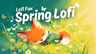 Spring Chillout 🌱 The Best Spring Vibes☀️Spring Lofi Music