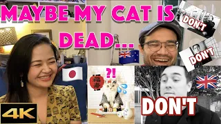 Japanese and Kiwi React to "12 Things NOT to do in Japan" [4K] @AbroadinJapan