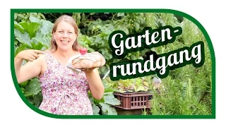 Garten im August | Gartenrundgang | Selbstversorgung für den Herbst | Urban Gardening