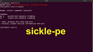 Sickle paired end Trimming | Sickle tutorial