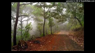 Los viajeros de la sierra  Alma De Acero