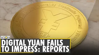 China's much-hyped digital Yuan fails to impress | Business and Economy | Latest English News