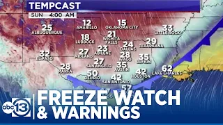 Freeze Warnings for some, Freeze Watch for Houston