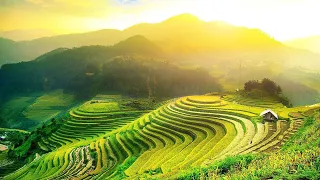 1H TOURISTS IN SOUTHEAST ASIA - Video Helps You Relax and Explore Beautiful Land