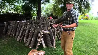 Agroforestry Cultivation of Shiitake Mushrooms