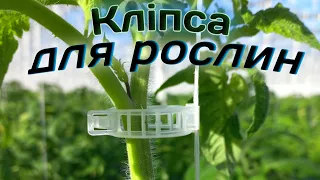 Зручне пристосування з пластмаси! Моя праця на теплиці🍅🍅🍅