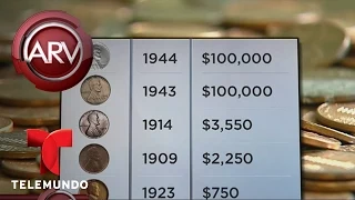 Coleccionistas buscan monedas de un centavo que podrían valer una fortuna | Al Rojo Vivo | Telemundo