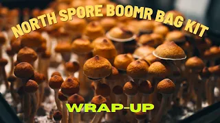 North Spore Boomr Bag Kit | Part 4: Wrap-Up