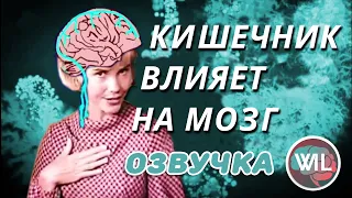 Как микробиом кишечника влияет на мозг и разум/What I've Learned на русском