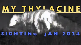 My Wilsons Promontory Thylacine Sighting - Jan 2024
